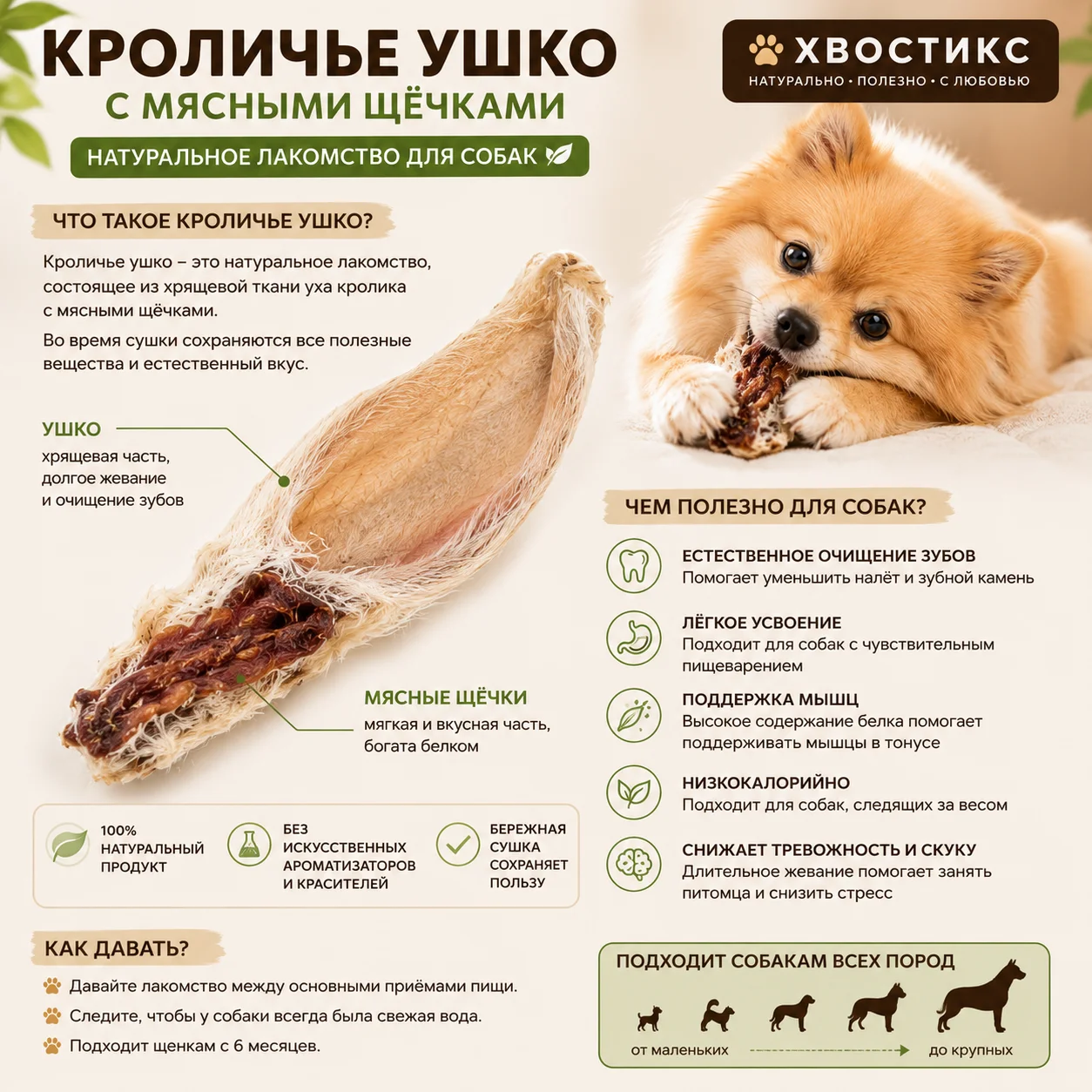 Кроличьи уши сушеные для собак Лакомство для собак - миниатюра 5