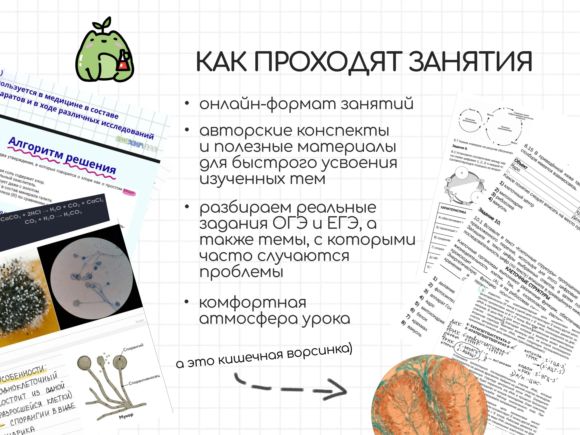 Подготовка к ЕГЭ и ОГЭ по химии и биологии 🌿✨ - миниатюра 4