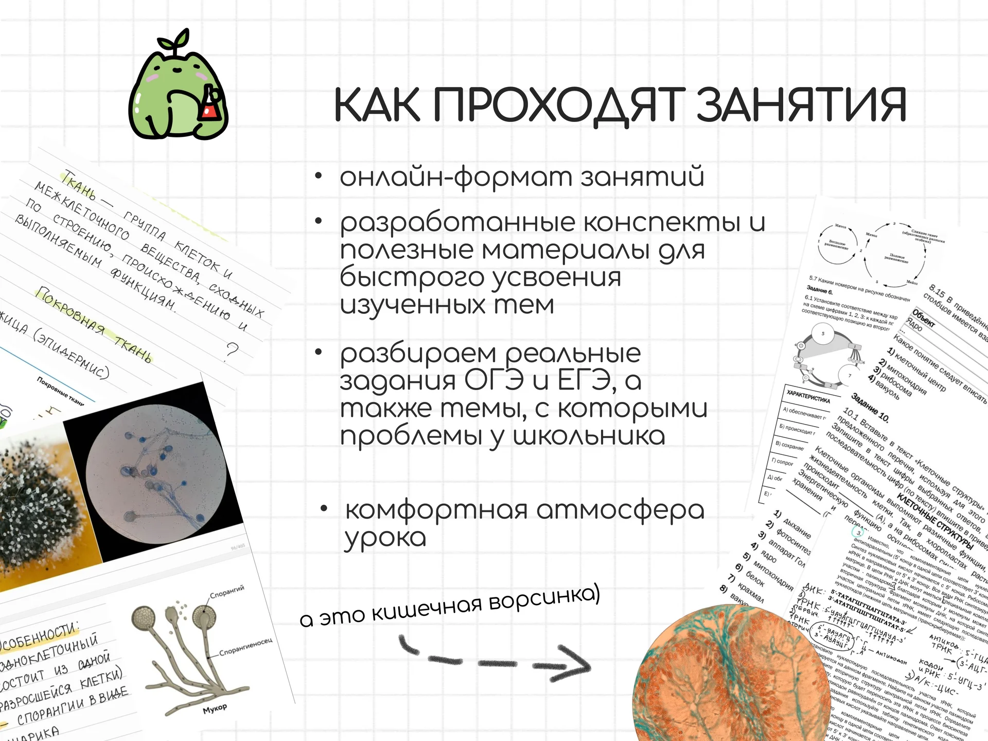 Сильный репетитор по биологии 🌱✨ - миниатюра 3