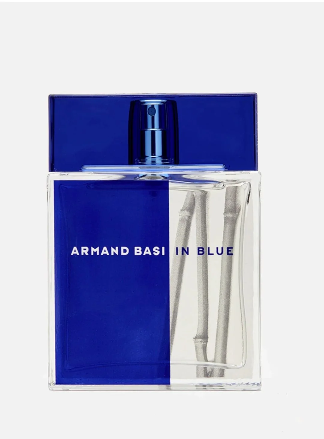мужская туалетная вода Armand Basi,100ml - изображение 1