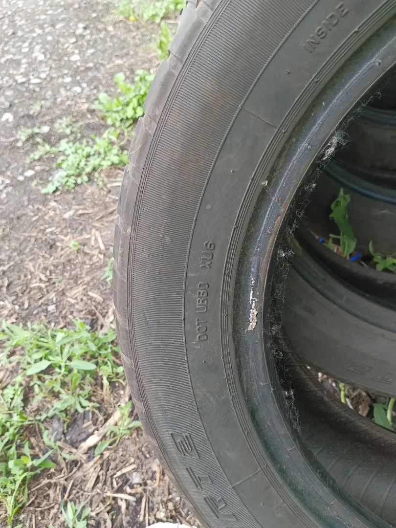 CORDIANT SPORT2 R15-185-65 \\ 84H - миниатюра 6