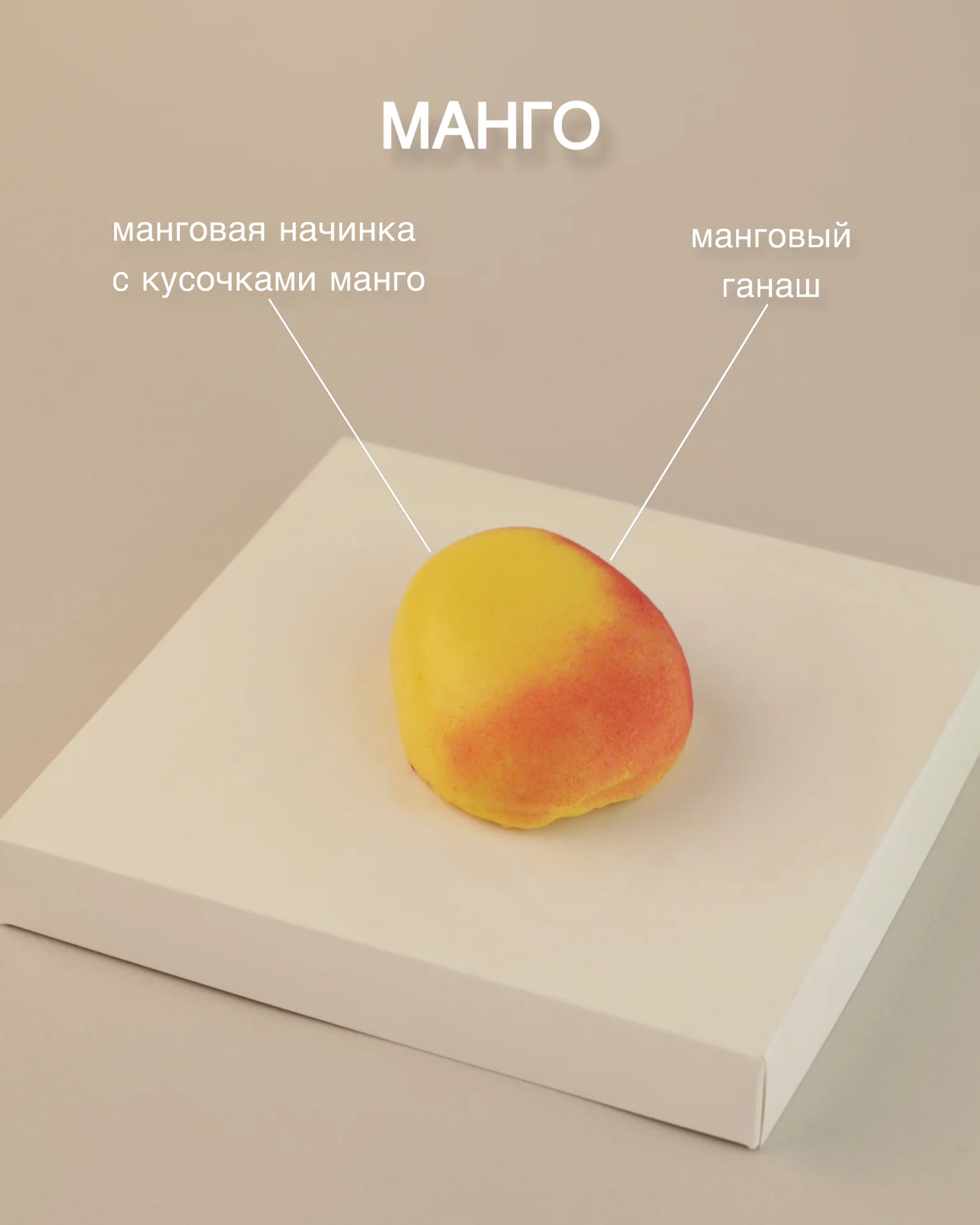КОРПУСНЫЕ ДЕСЕРТЫ «МАНГО» - миниатюра 3