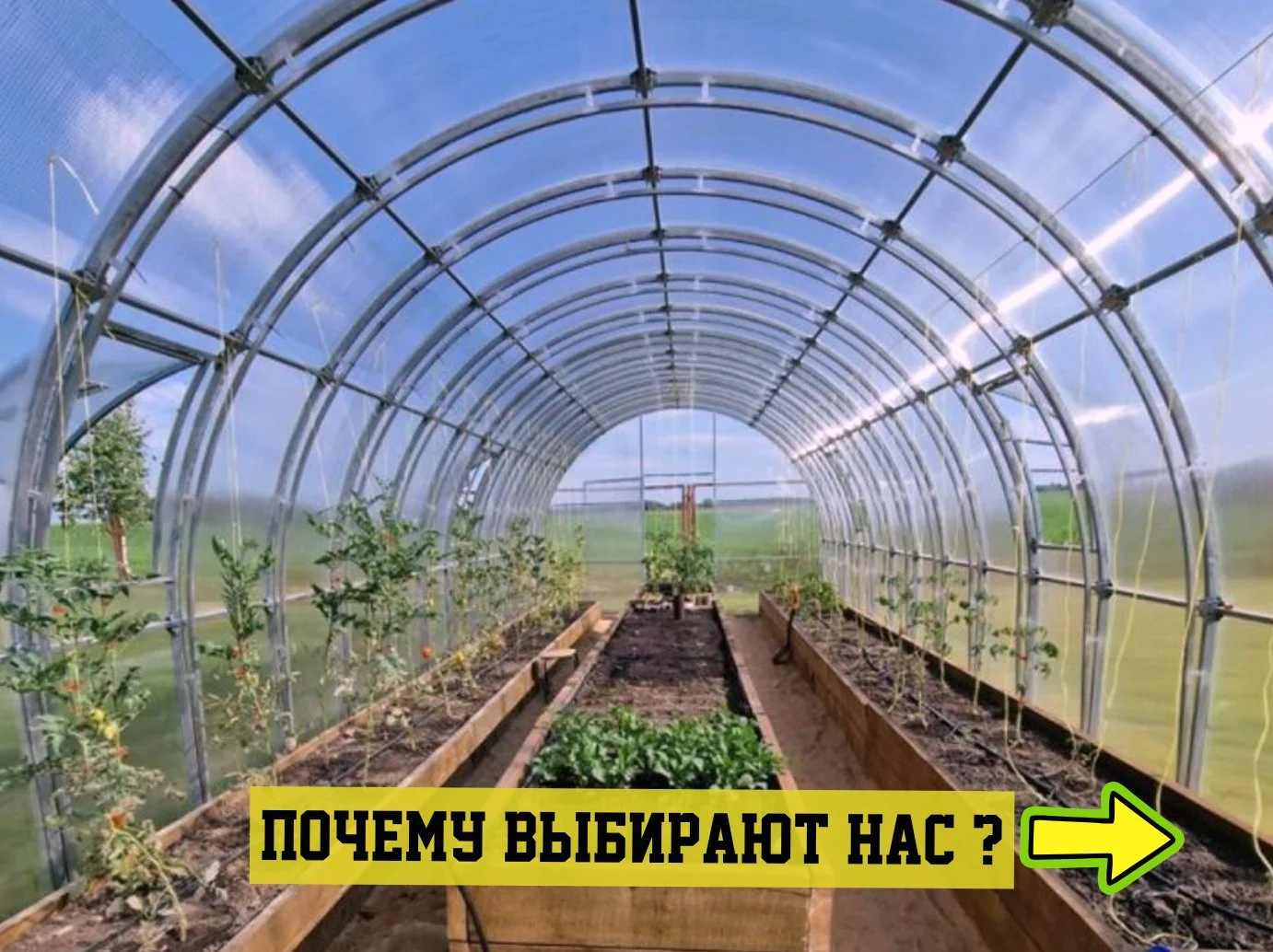 Теплица - миниатюра 2