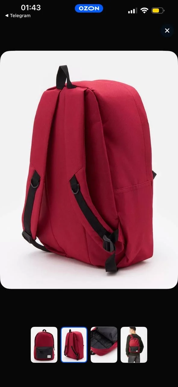 Рюкзак мужской Hermann Vauck SUT369 красный/синий, - миниатюра 4