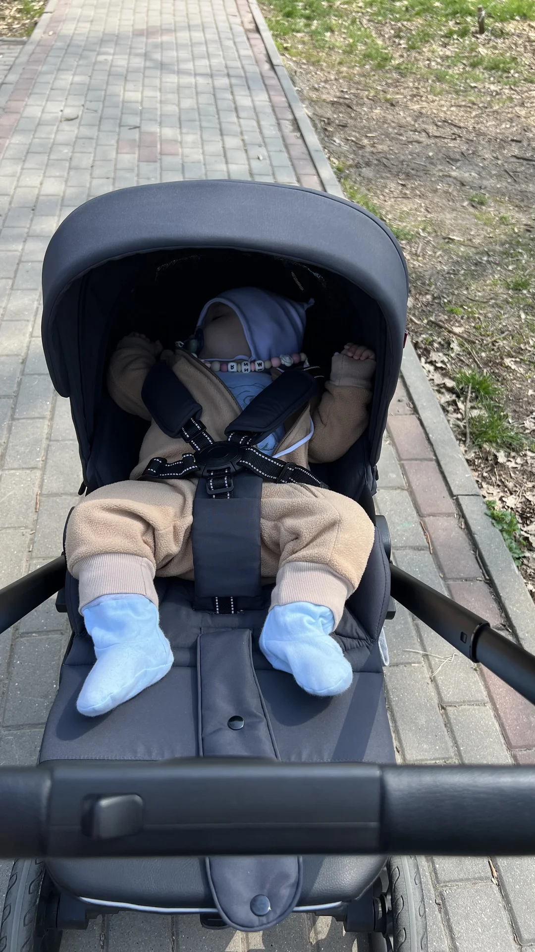 Carrello Alfa коляска 2 в 1 - миниатюра 14