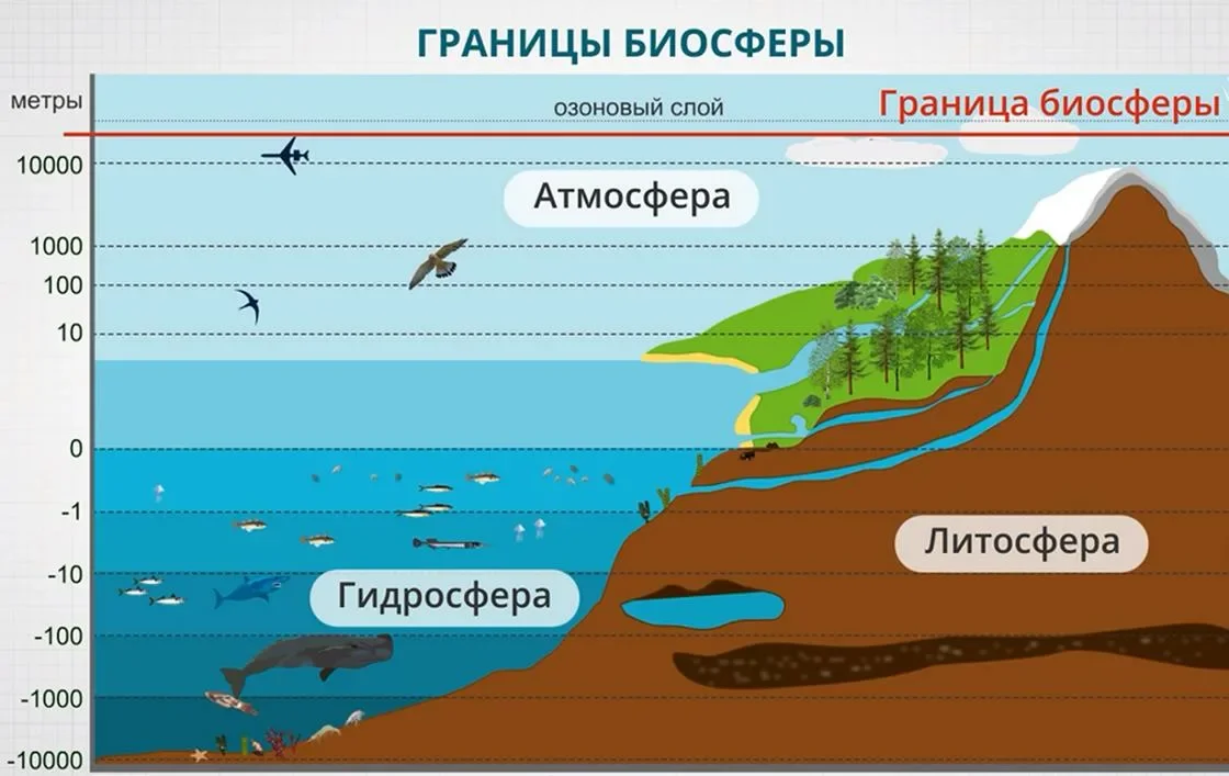 Репетитор по географии - миниатюра 4