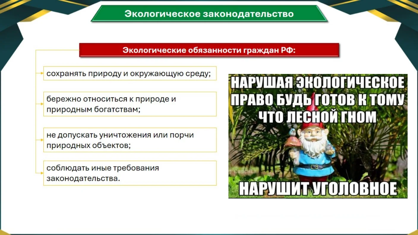 Репетитор по истории и обществознанию - миниатюра 2