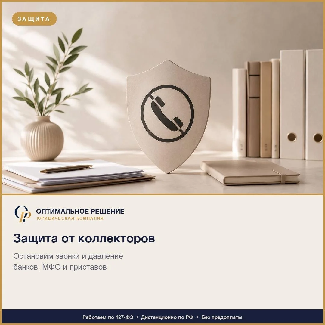 Банкротство физических лиц под ключ - миниатюра 10