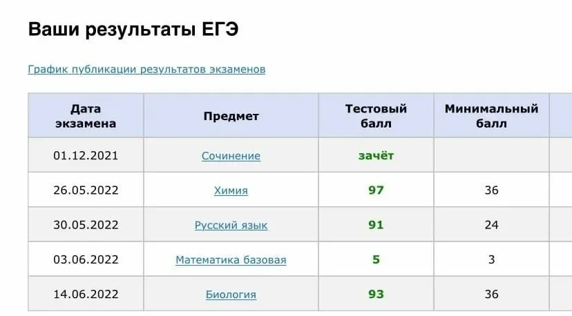 ЕГЭ РУССКИЙ - миниатюра 4