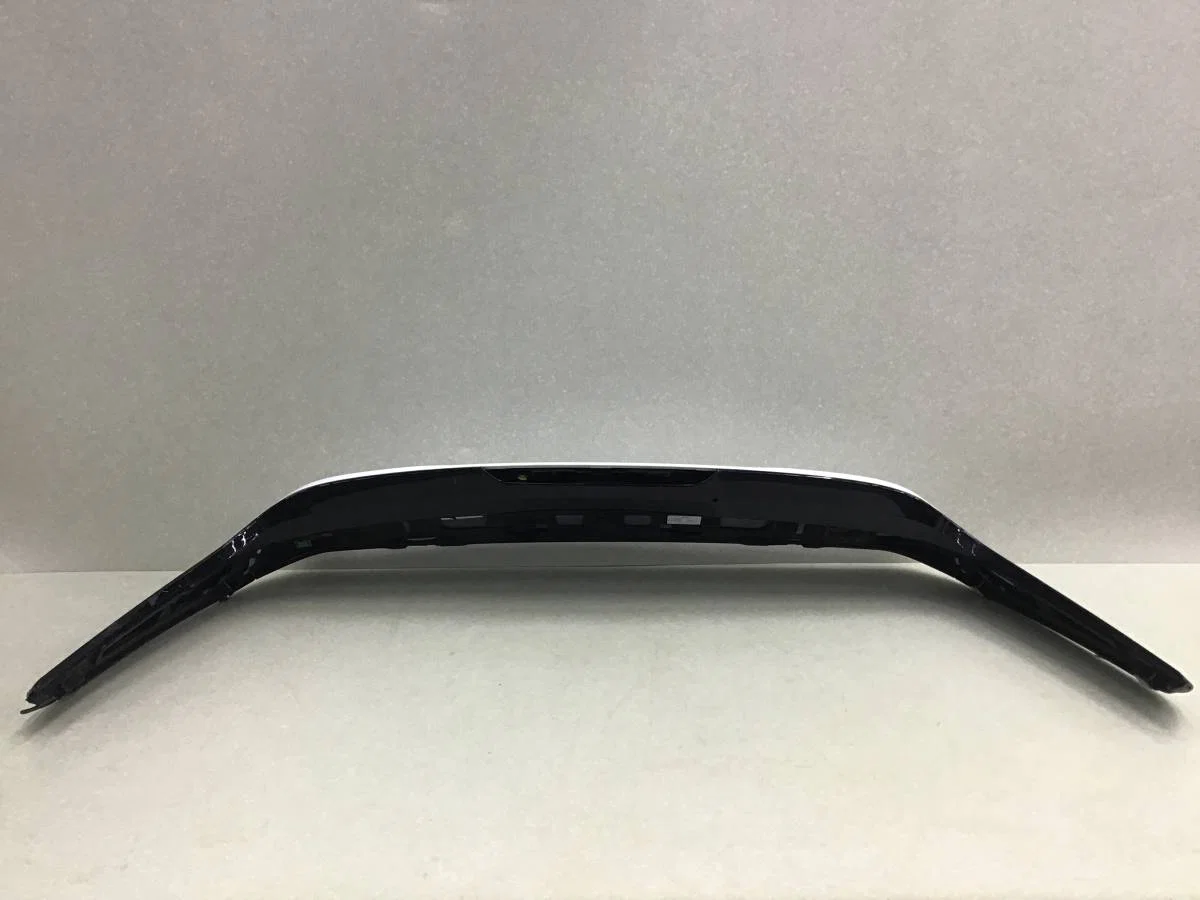 Накладка двери багажника BMW X7 G07 2018> [51629447775] - миниатюра 9
