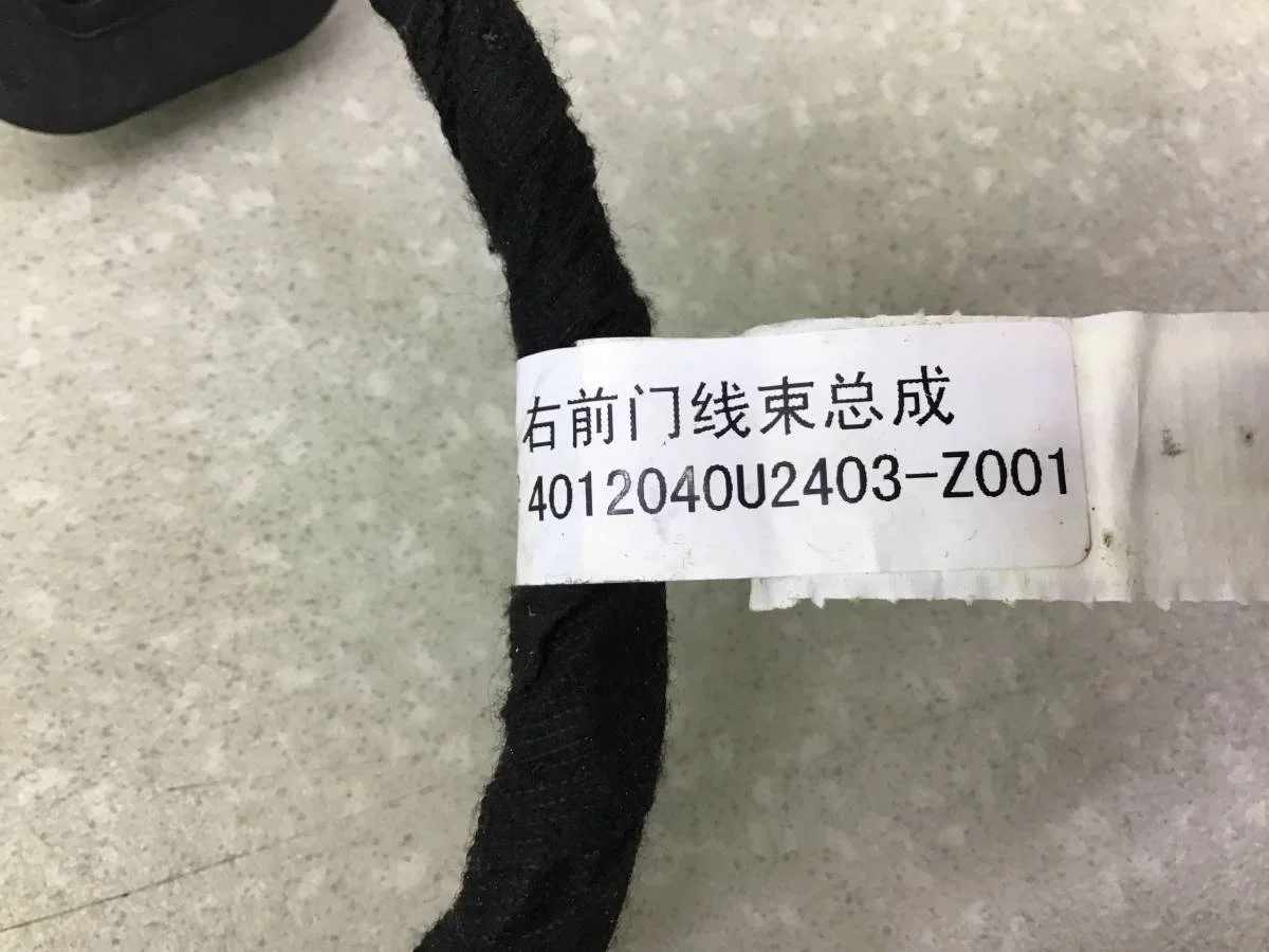 Проводка двери JAC JS6 2022> [4012040U2403] - миниатюра 7