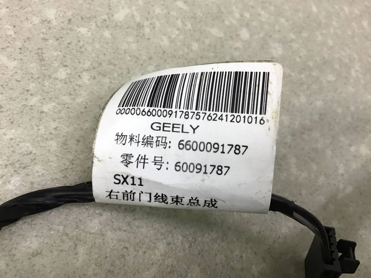 Проводка двери Geely Coolray SX11 2018> [6600091787] - миниатюра 3
