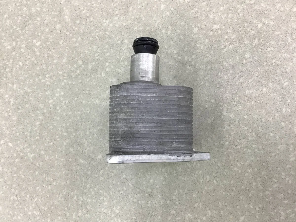 Теплообменник Volkswagen Tiguan (5N2) 2011-2016 [06J117021P] - миниатюра 4