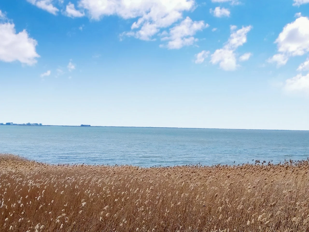 В продаже дом у моря, Витязево - миниатюра 38