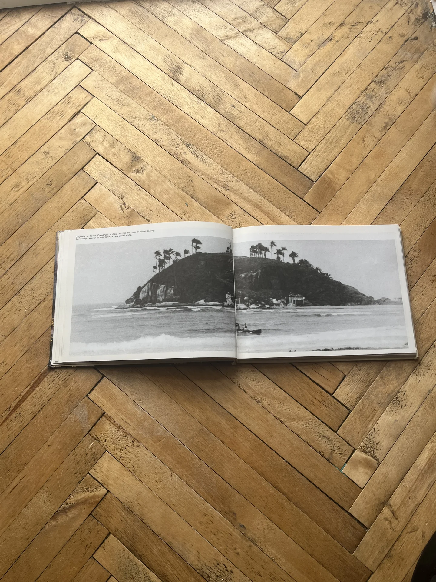 О.К. Игнатьев «Бразилия и бразильцы» - миниатюра 4