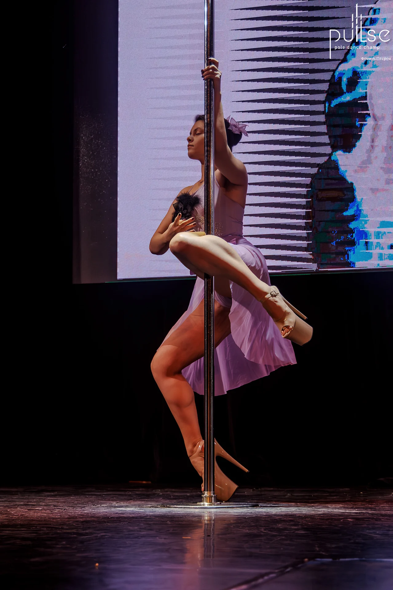 тренер по танцам на пилоне (exotic pole dance) - миниатюра 3