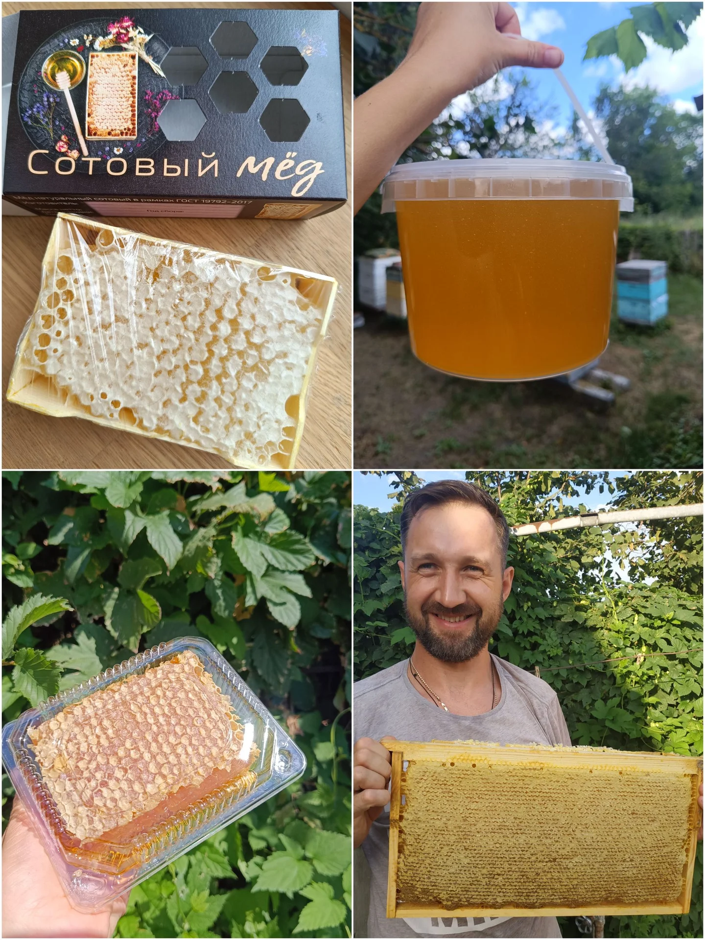 Мёд свежий и сотовый мёд - изображение 1