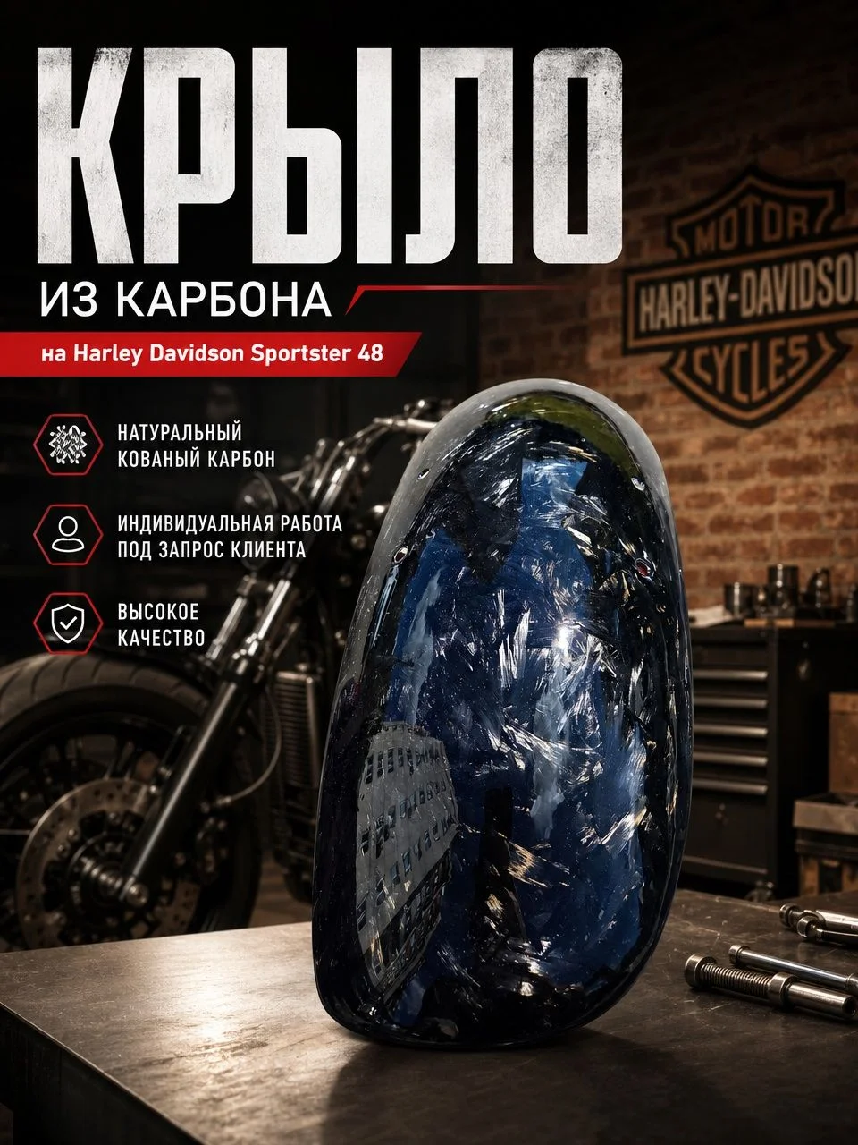 Крыло из карбона на Harley Davidson Sportster