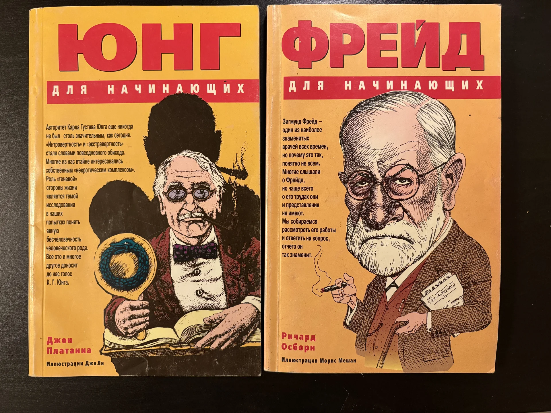 Юнг и Фрейд для начинающих - изображение 1