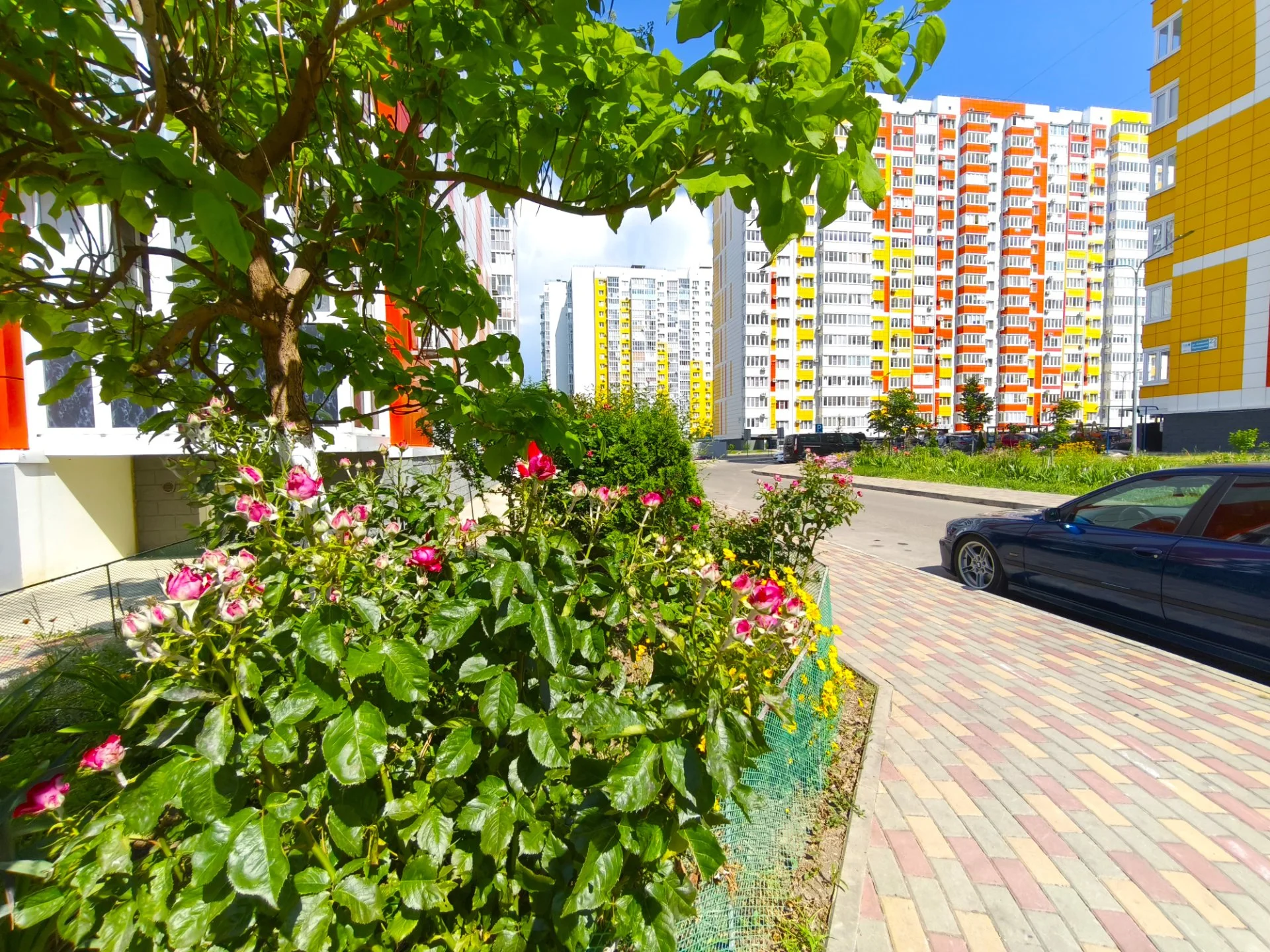 квартира у моря - миниатюра 12