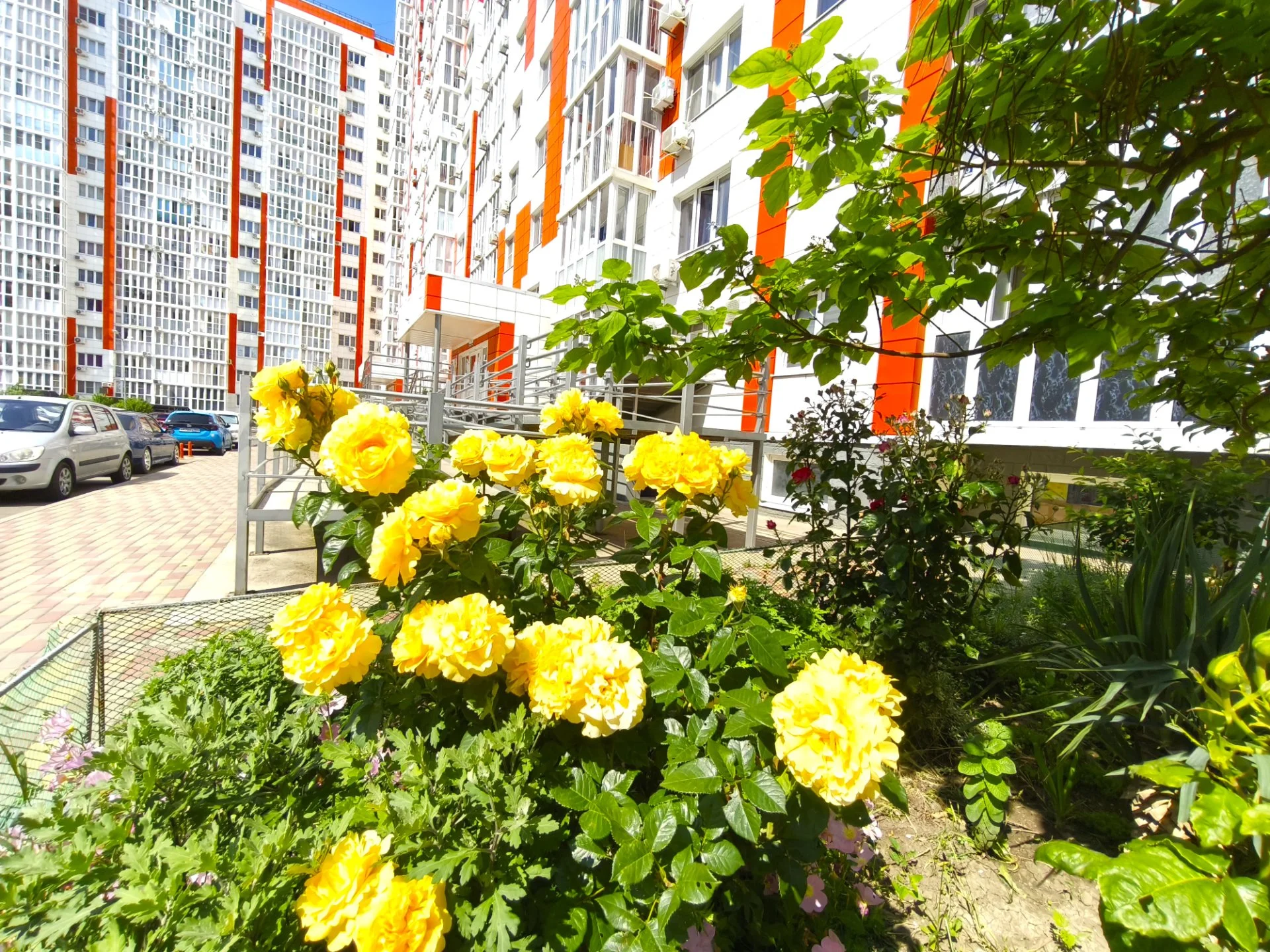 квартира у моря - миниатюра 16
