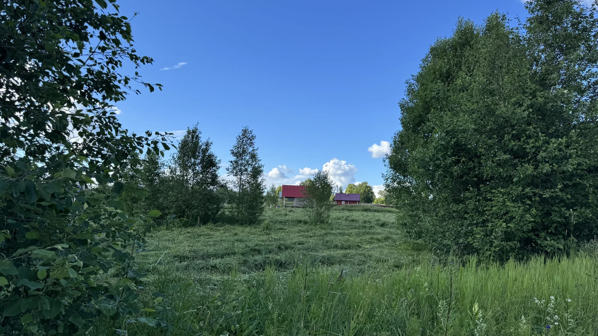 Продам земельные участки - миниатюра 3