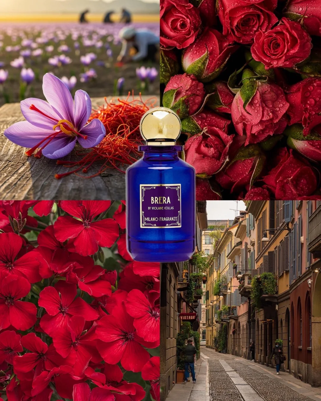 Milano Fragranze - Brera - миниатюра 9