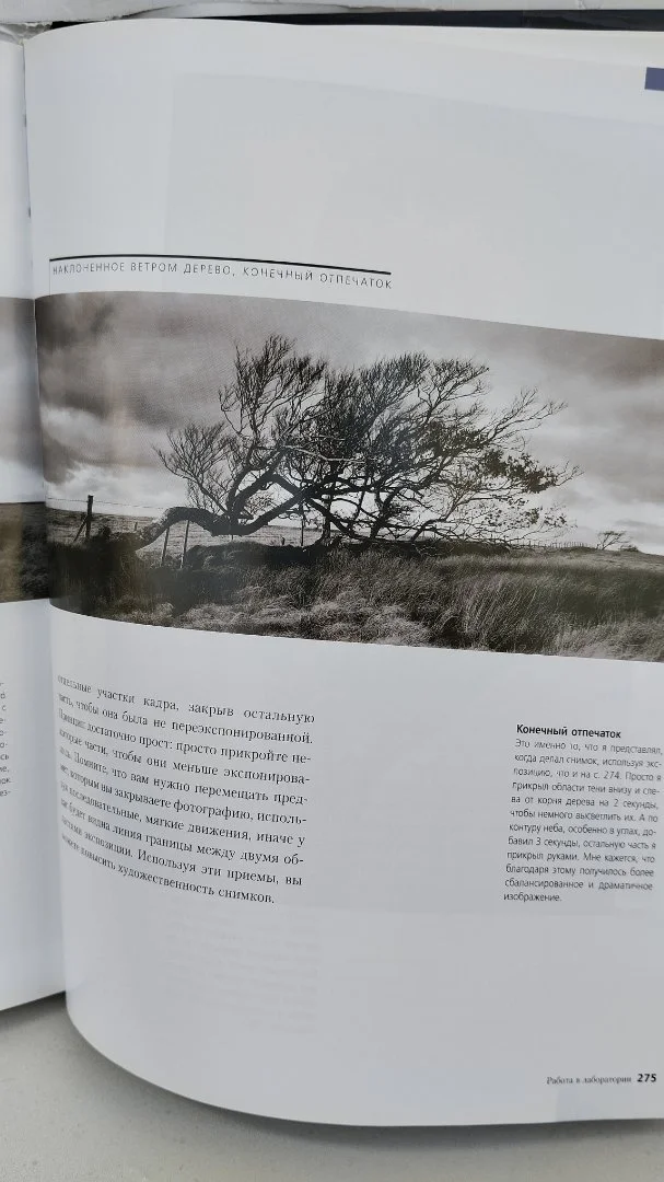 Книга "Фотография. Мастер-класс" Мишель и Жюльен Бюссель - миниатюра 4