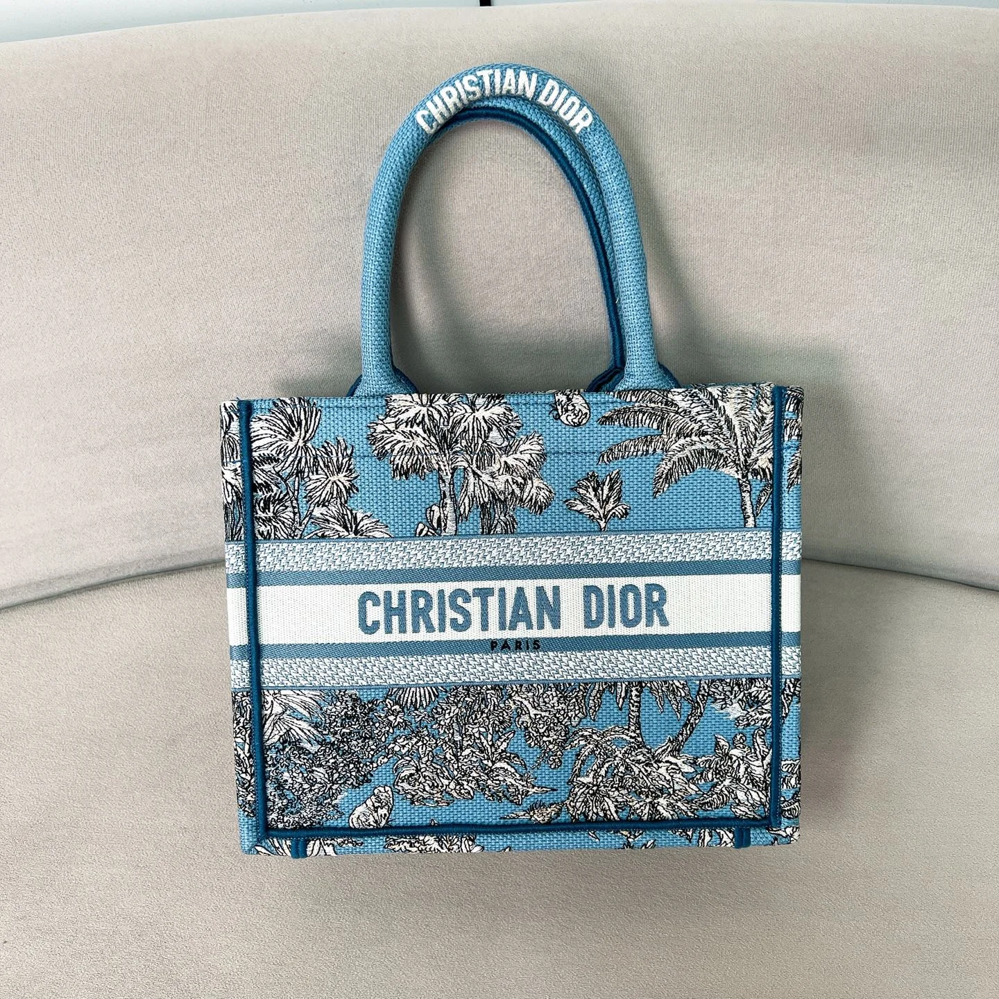 Сумка Christian Dior Book Tote - изображение 1