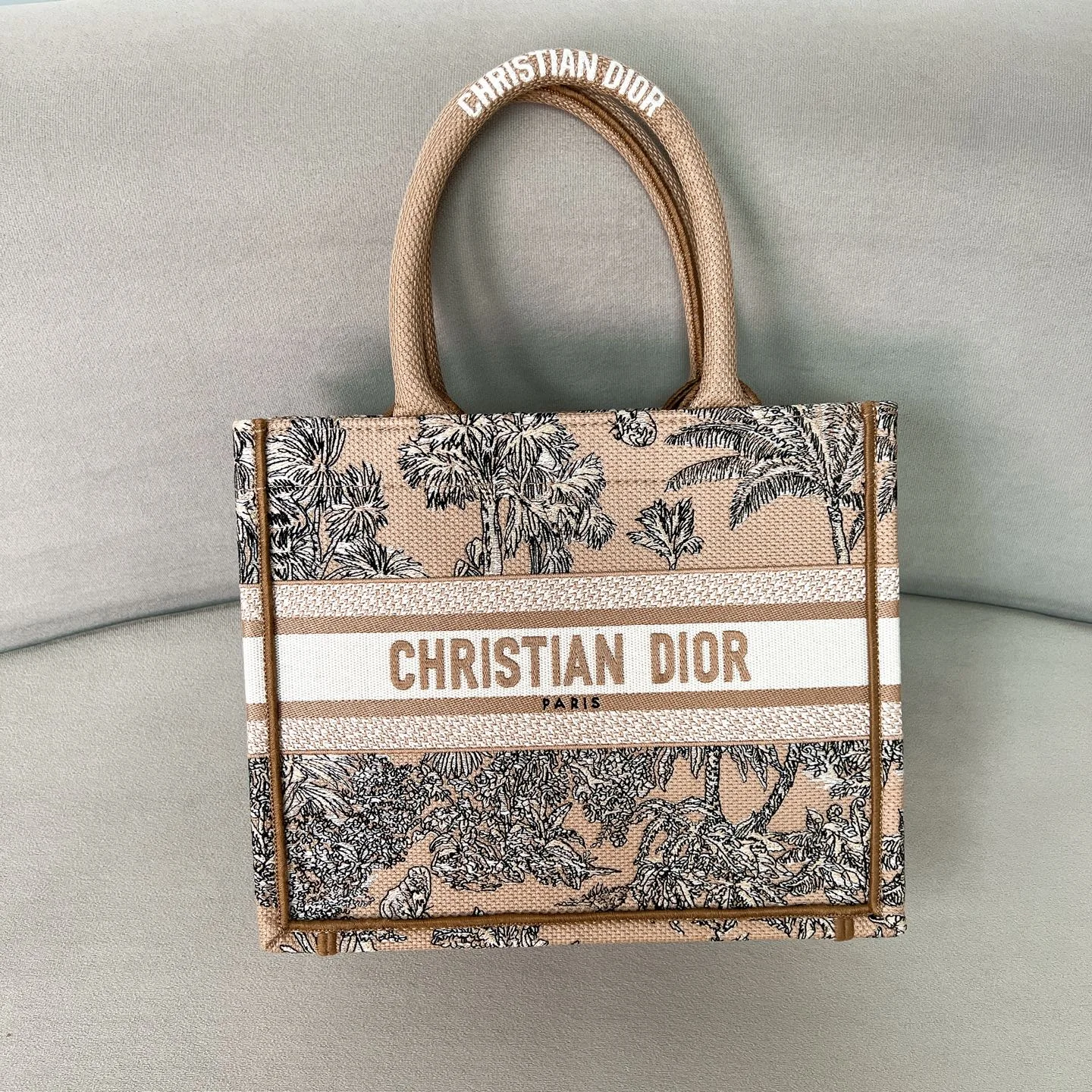 Сумка Christian Dior Book Tote с принтом - изображение 1
