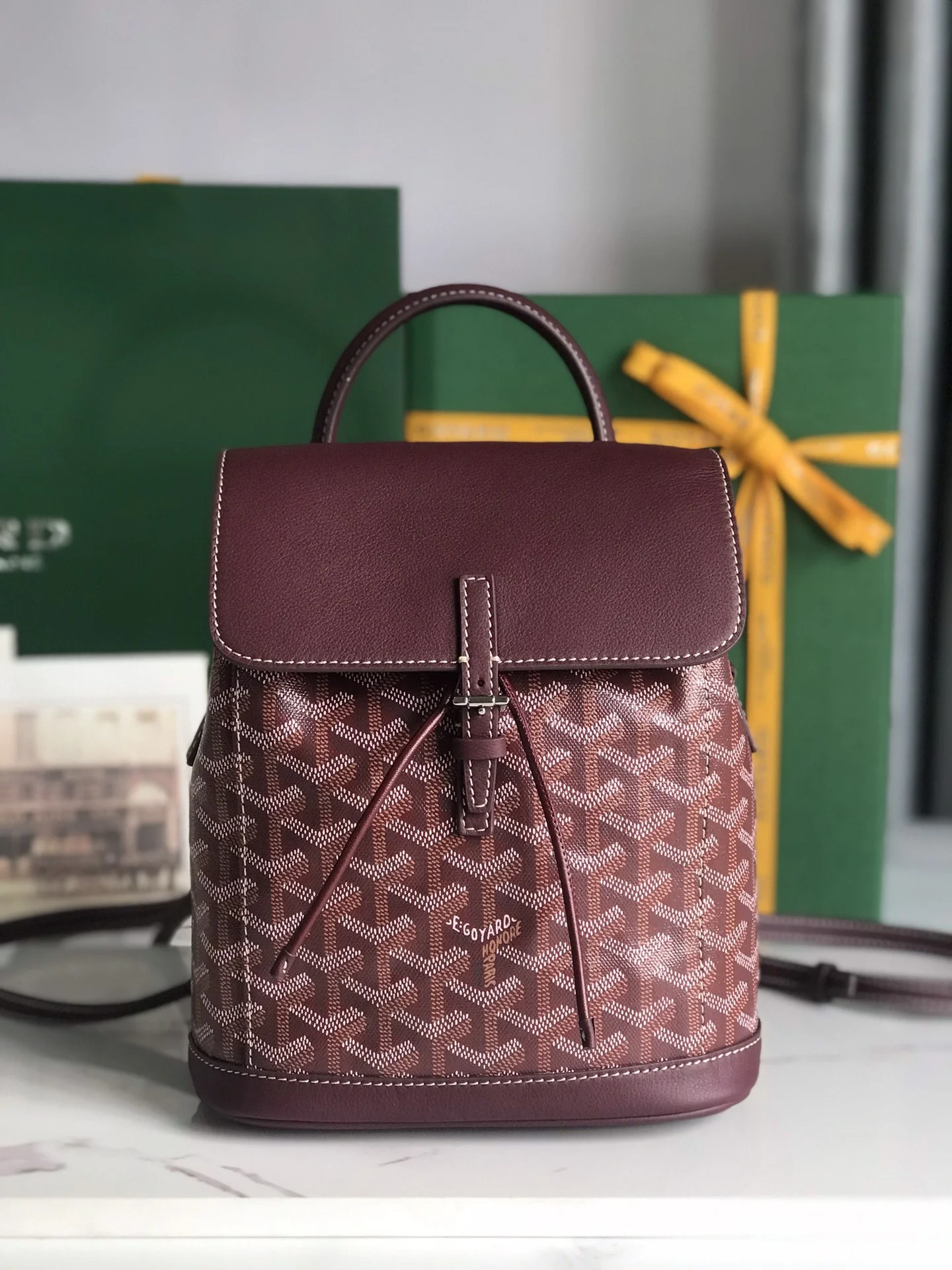 Рюкзак Goyard Alpin мини - изображение 1