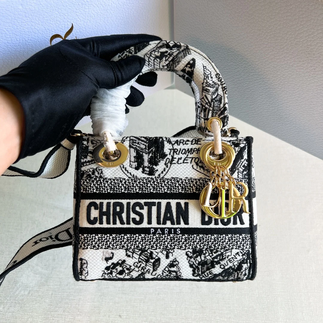 Сумка Christian Dior Lady D-Lite с принтом карты Парижа