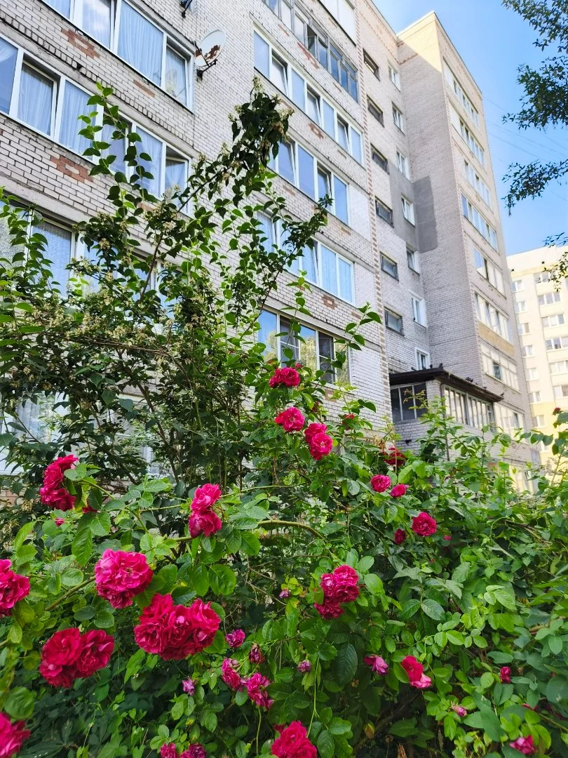 2 к Квартира Куйбышева 117 - миниатюра 31