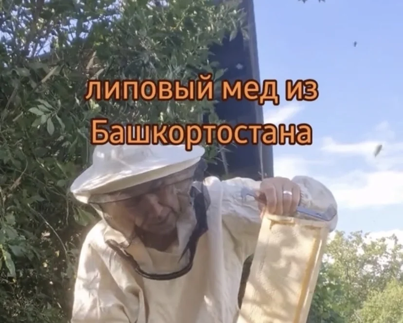 Продам мед липовый - миниатюра 3