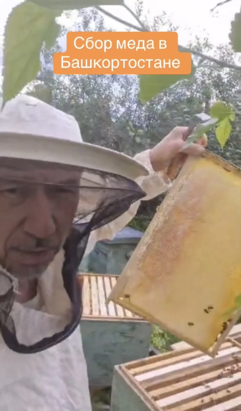 Продам мед липовый - миниатюра 4