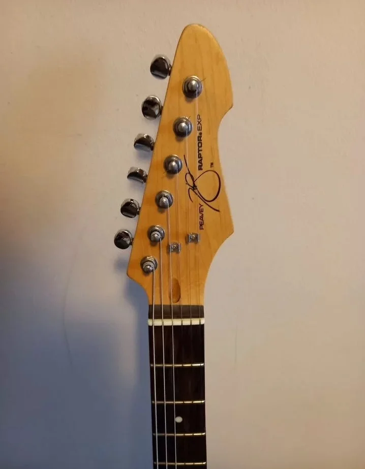 Peavey Raptor - миниатюра 3