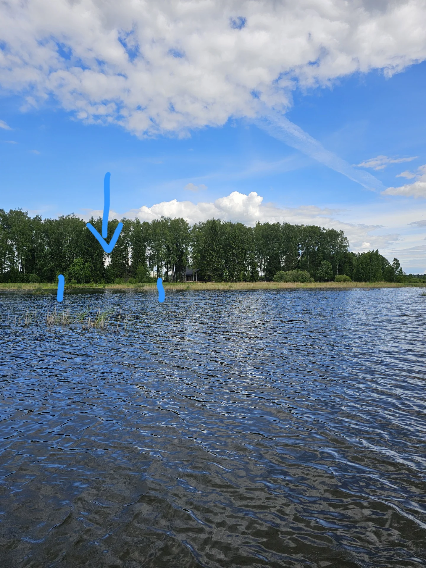 продажа участка первая береговая - миниатюра 10