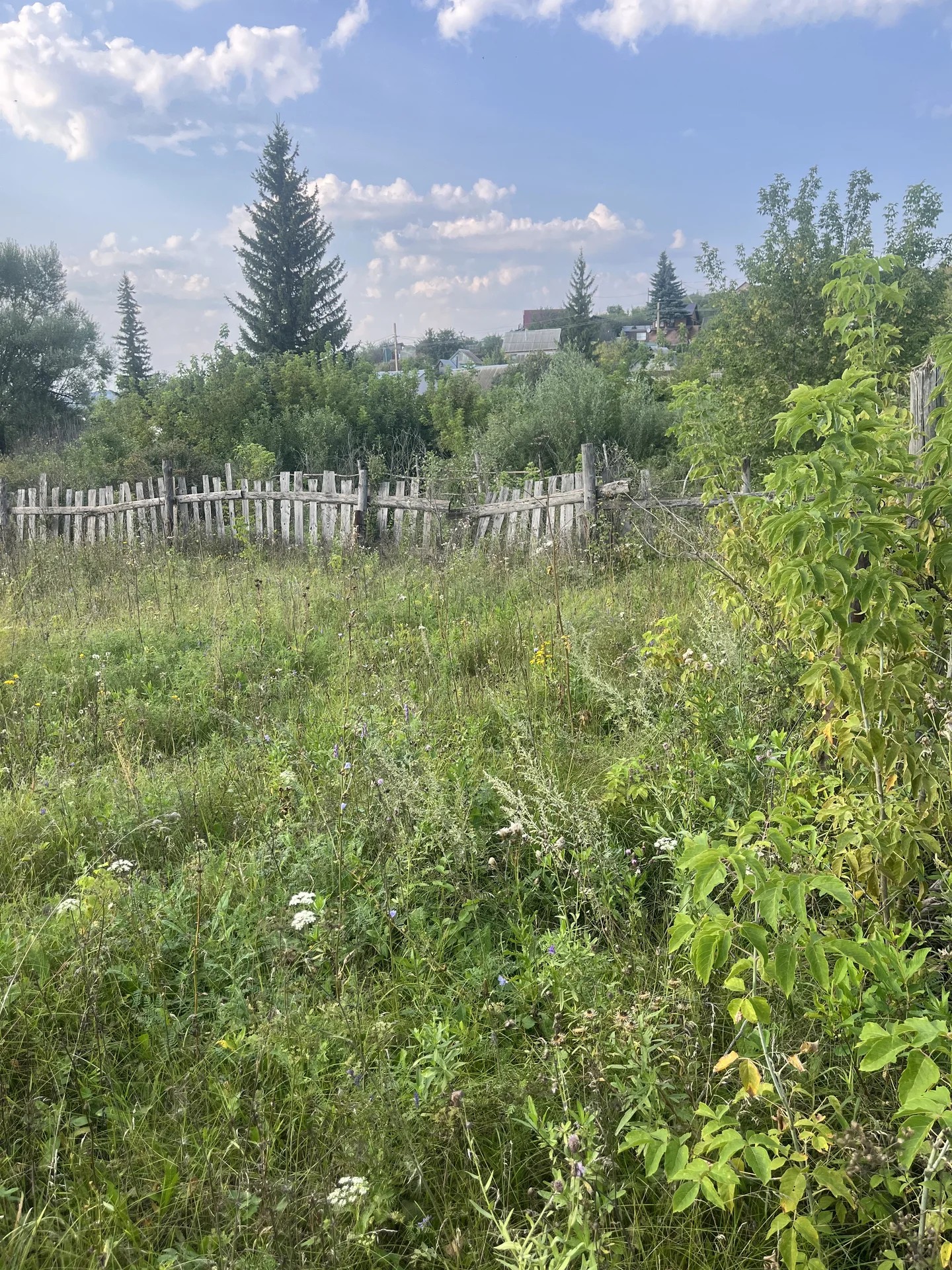 продам участок - миниатюра 4