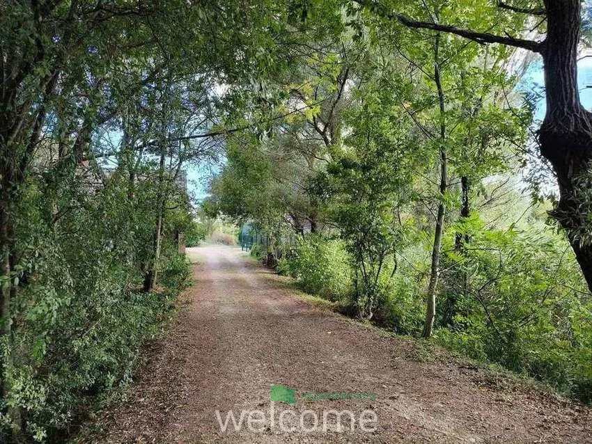 Продам базу отдыха с прудами, 10 Га - миниатюра 31