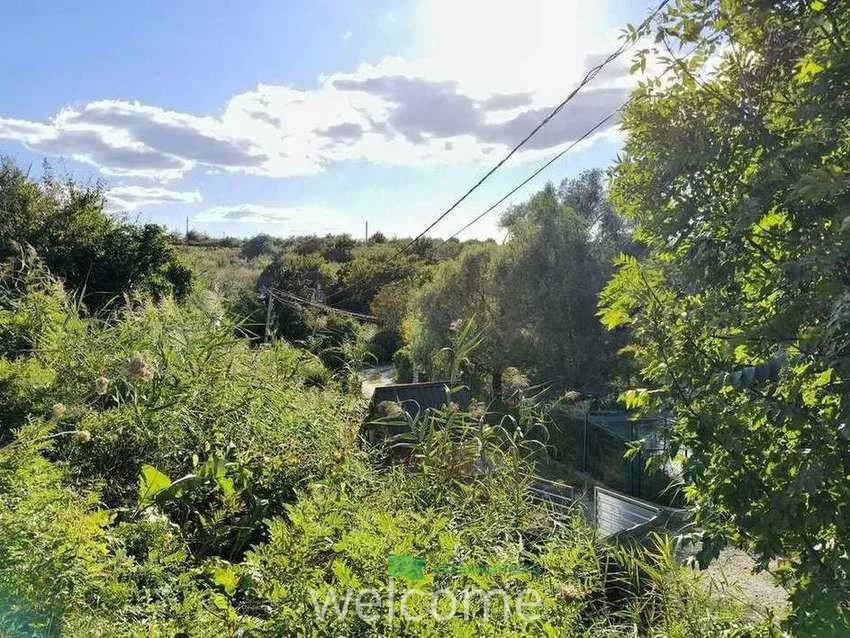 Продам базу отдыха с прудами, 10 Га - миниатюра 37