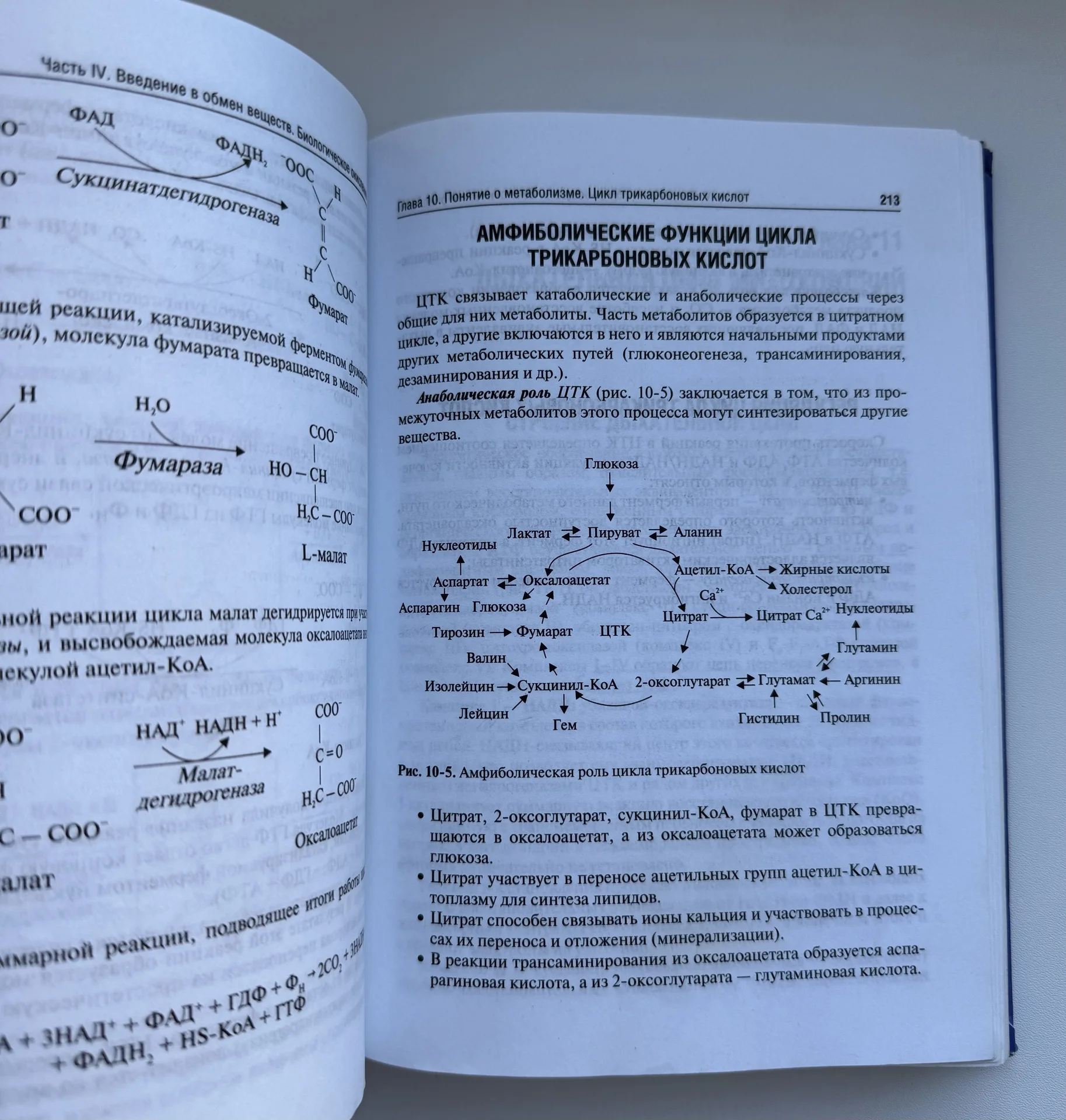 учебник Т. П. Вавилова по биологической химии - миниатюра 2