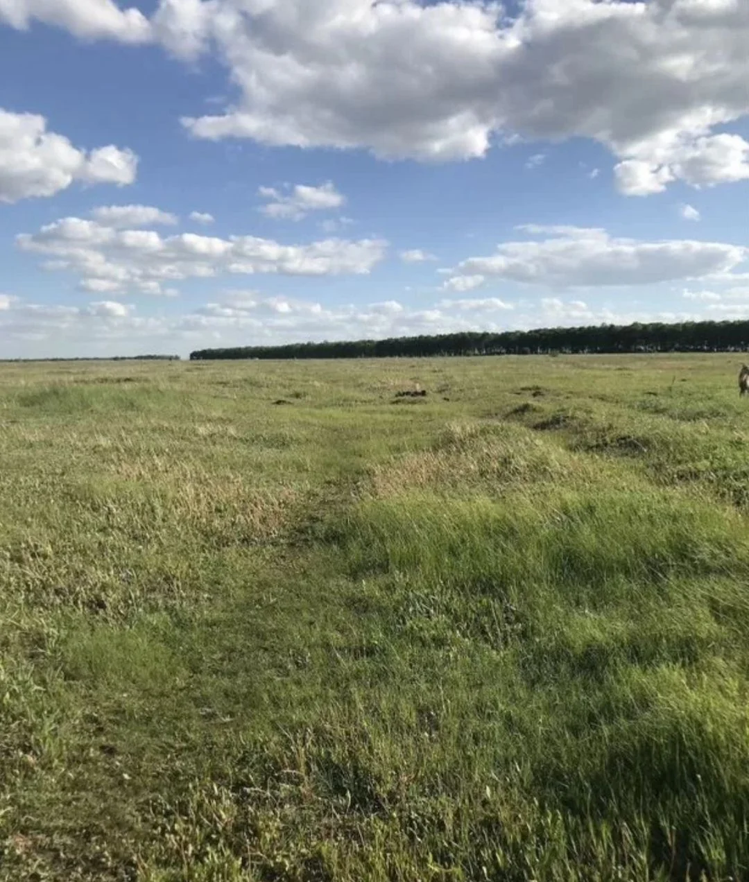Участок 10 соток - изображение 1