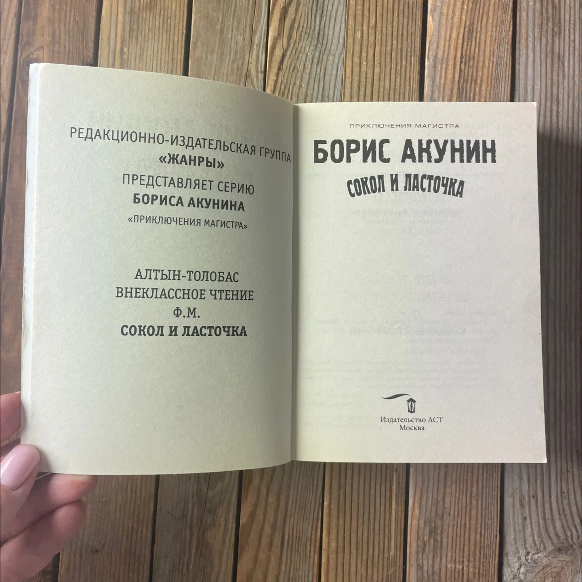 Б. Акунин «Сокол и ласточка» - миниатюра 4