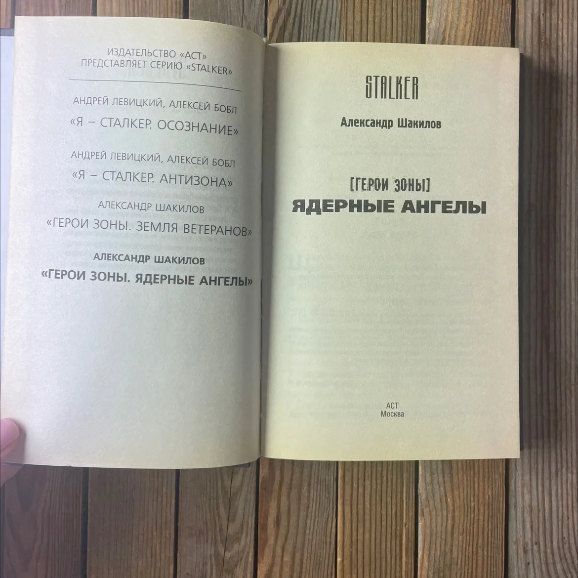 А. Шакилов «Герои зоны. Ядерные ангелы» stalker - миниатюра 4