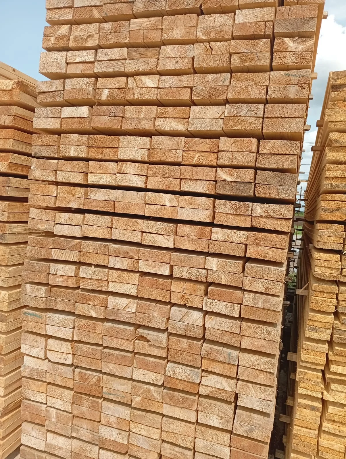 Доска обрезная ГОСТ 50/150/6000 - миниатюра 2