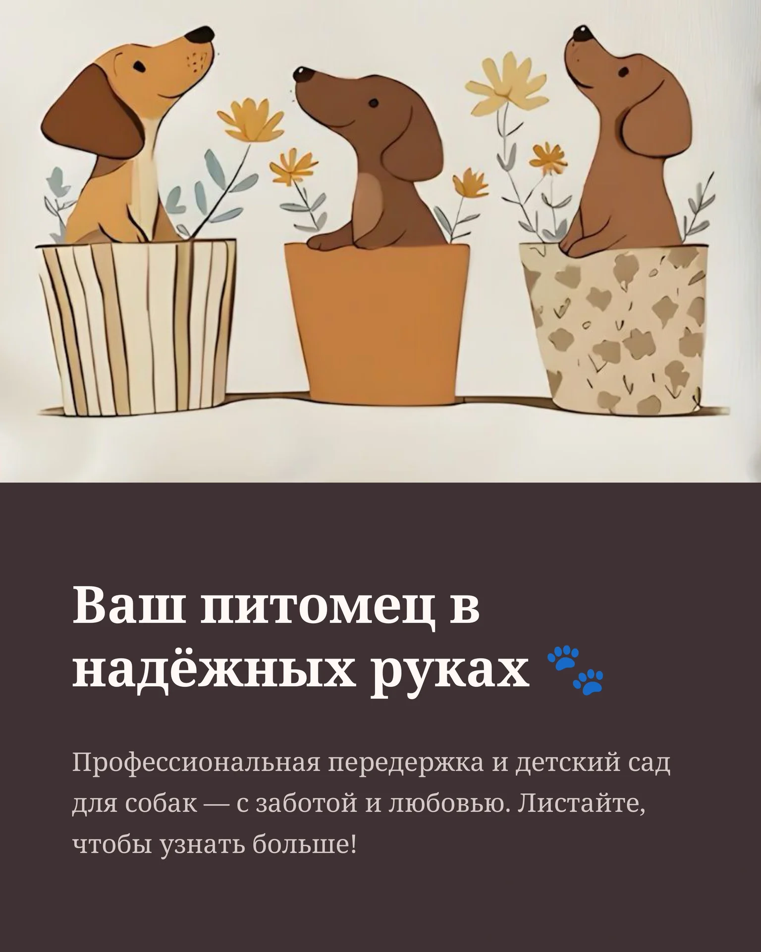 Передержка собак и кошек/ дневной садик для собак