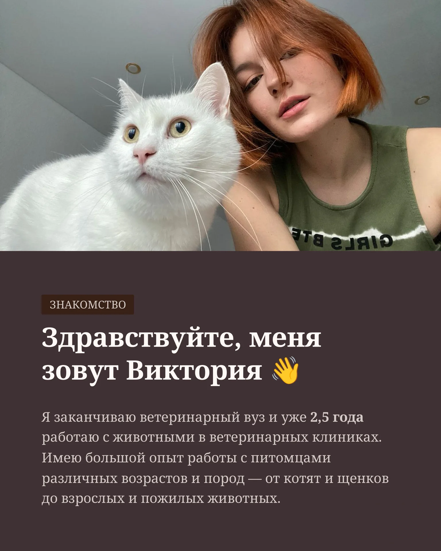 Передержка собак и кошек/ дневной садик для собак - миниатюра 2