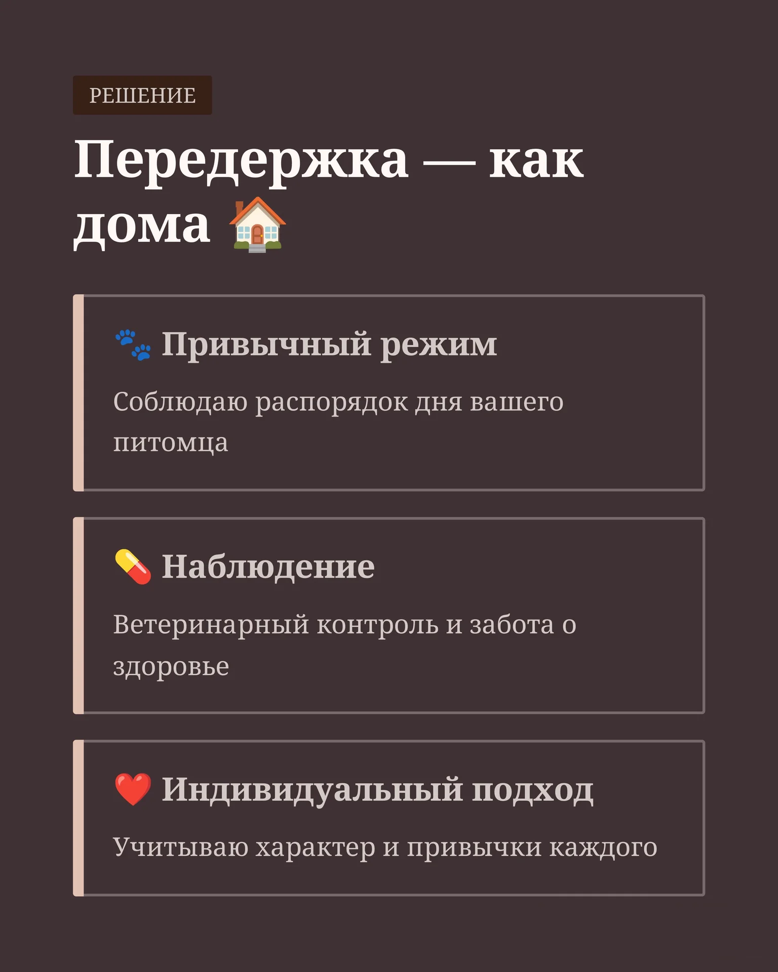 Передержка собак и кошек/ дневной садик для собак - миниатюра 5