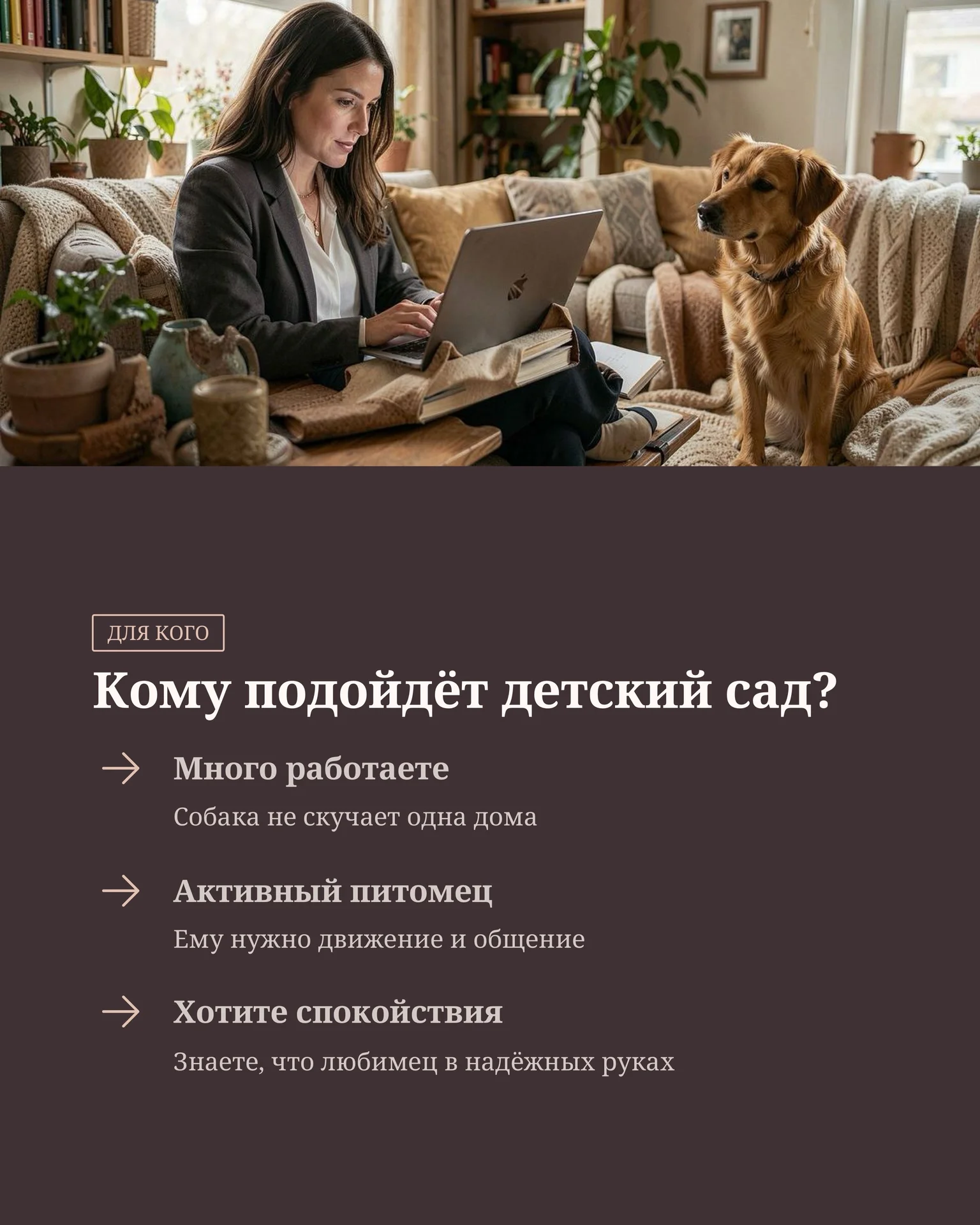 Передержка собак и кошек/ дневной садик для собак - миниатюра 8