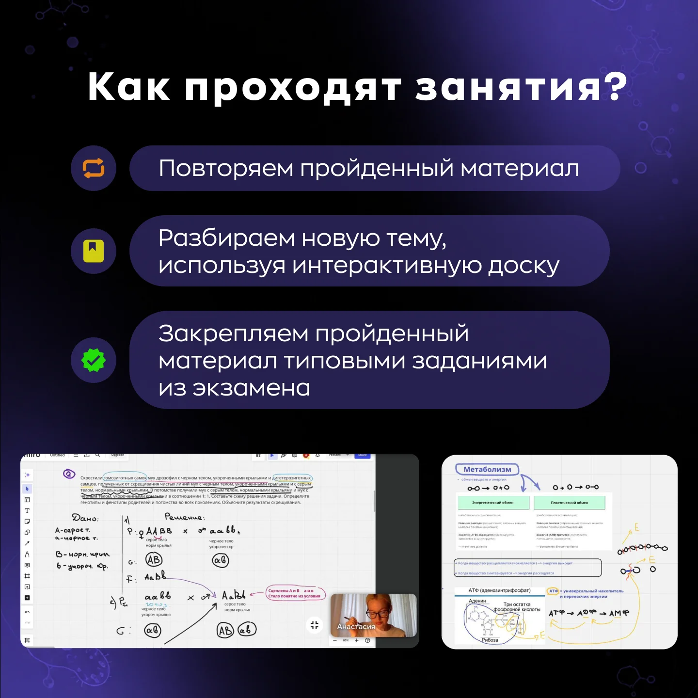 Репетитор по биологии ЕГЭ - миниатюра 4